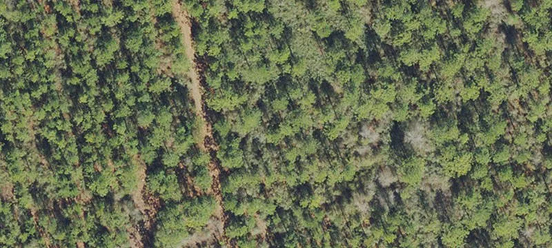 Timberland Development Tract