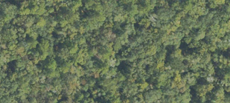 Corner Homesite in No-Flood Zone