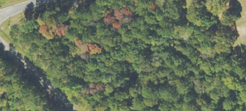 Wooded Recreational Land Parcel