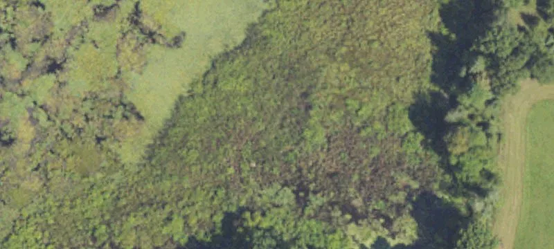 Unimproved Residential Land Parcel