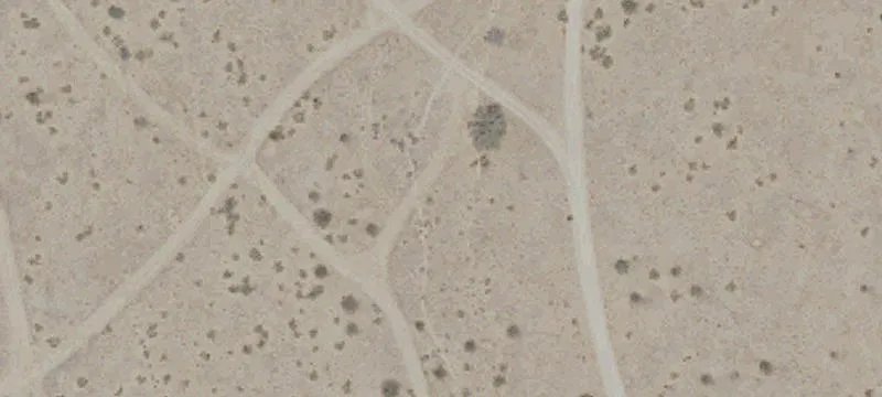 Ready-to-Build High Desert Land