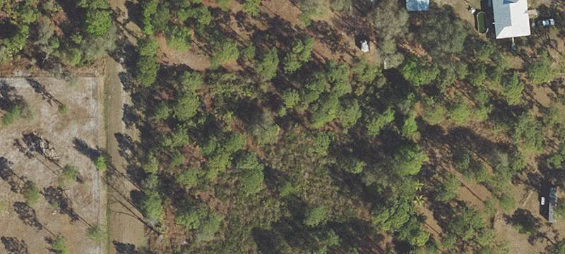 Partially Cleared Residential Lot