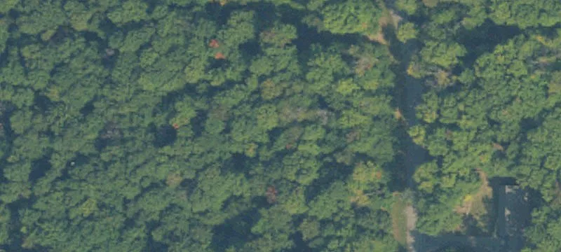 Wooded Residential Building Lots