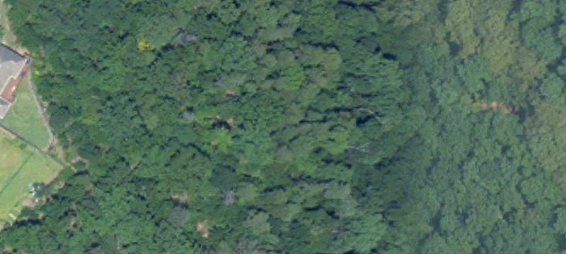 Residential Acreage Lot