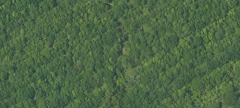 Recreational Hunting Land Tract