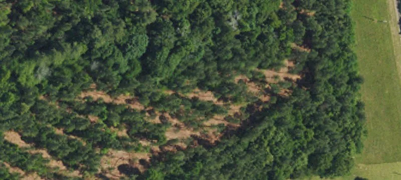Forested Land Parcel with Road Frontage