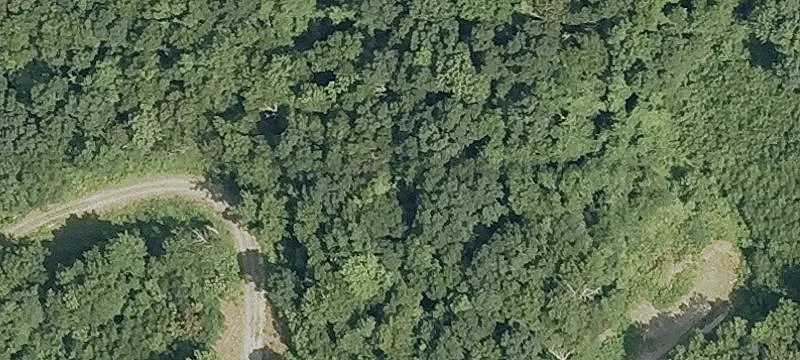 Privacy-Focused Farmland Parcel