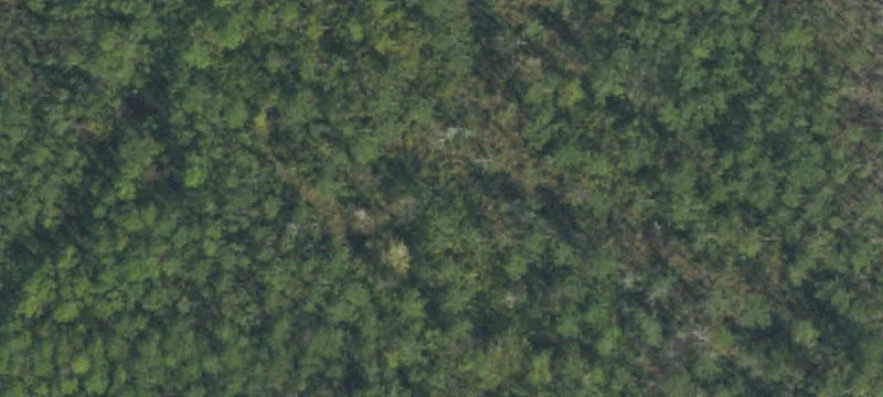 Wooded Waterfront-Access Home Lot