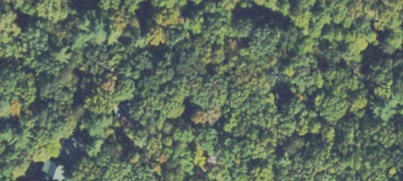 Partially Wooded Home Site