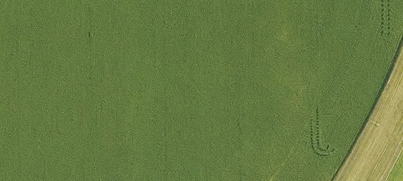 Gently Sloping Crop and Cattle Farm