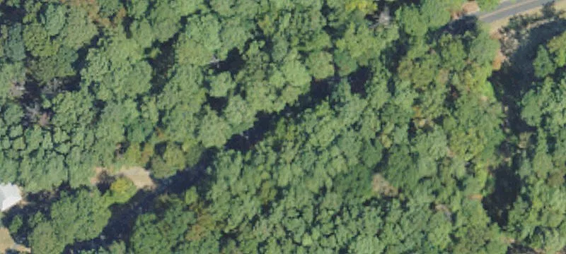 Hunting Land with Dual Road Access