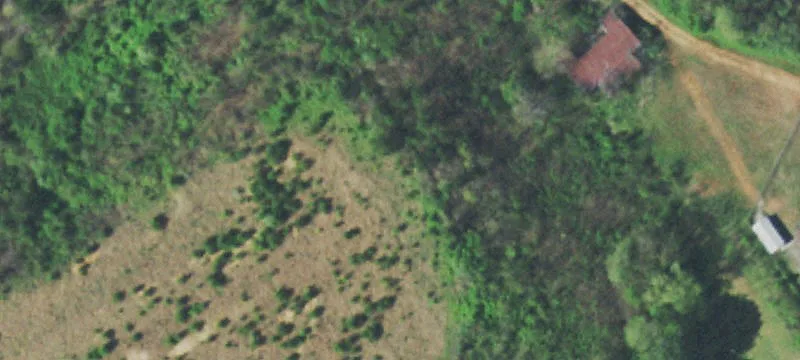 Rural Mountain View Acreage