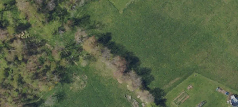Two-Parcel Land with Road Frontage
