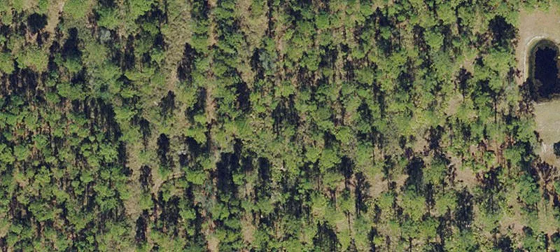 Commercial Land with Highway Frontage