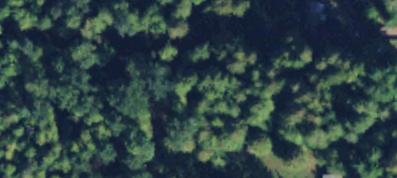 Forested Land Parcel for Homesite