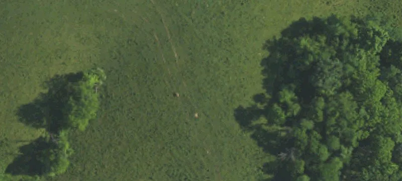 Enclosed Ranch & Hunting Farm