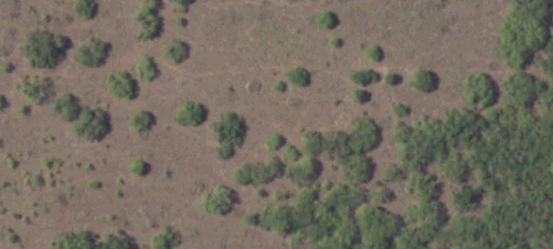 Unrestricted Acreage with Open Pasture