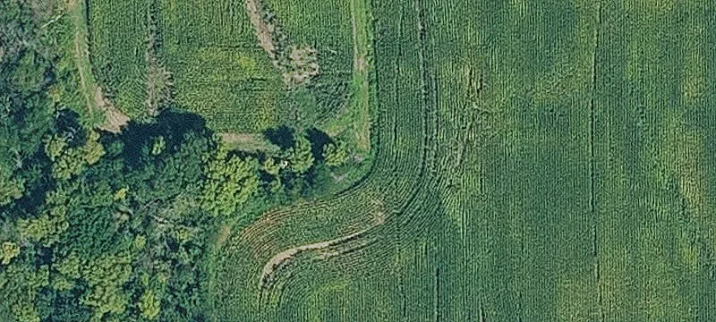 Agricultural and Hunting Tract
