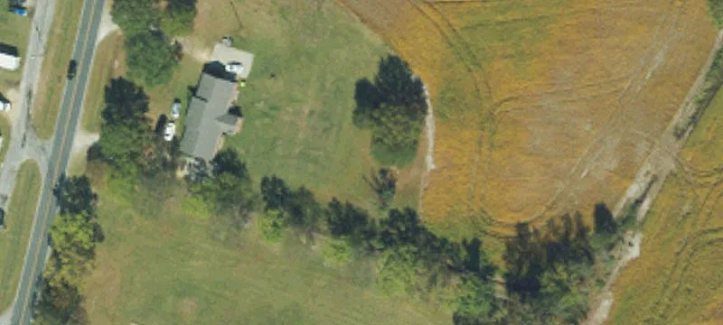 Timberland Tract with Privacy