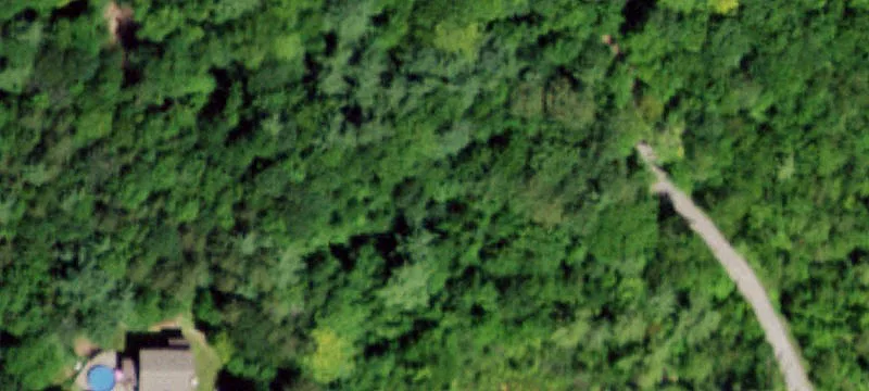Secluded Homesite Across State Forest