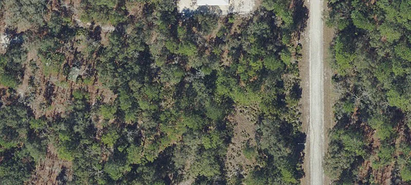 Residential Land Parcel with Wooded Buffer