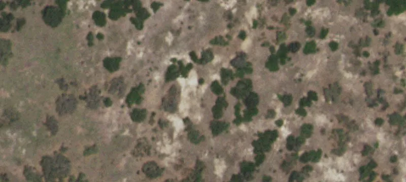 Hill Country Ranch Property