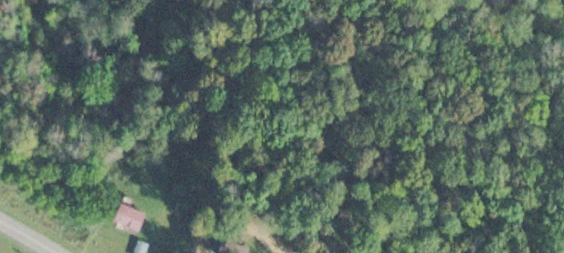 Wooded Residential Land Lot