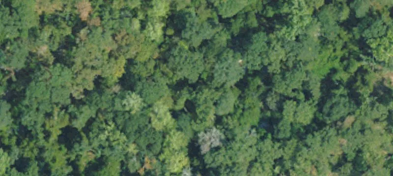 Recreation Land Tract with Road Frontage