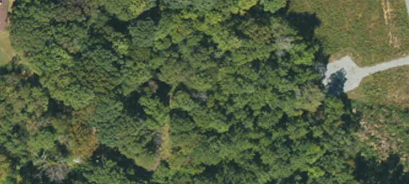 Wooded Acreage with Existing Utilities