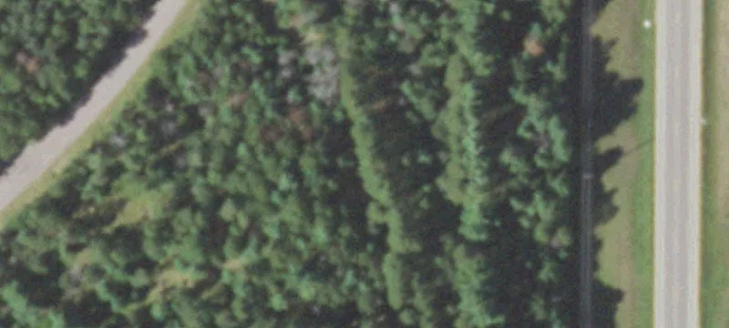 Lake Access Wooded Homesite