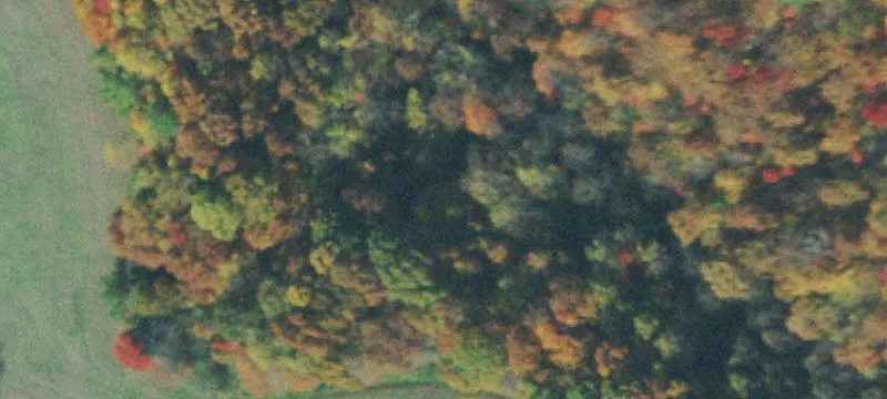 Acreage with Timber and Road Frontage