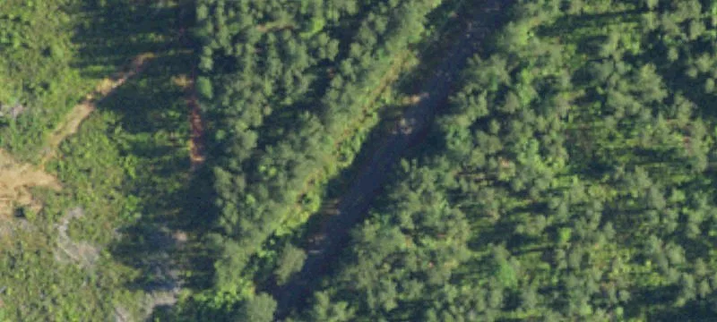 19-Acre Rural Mini Farm Tract