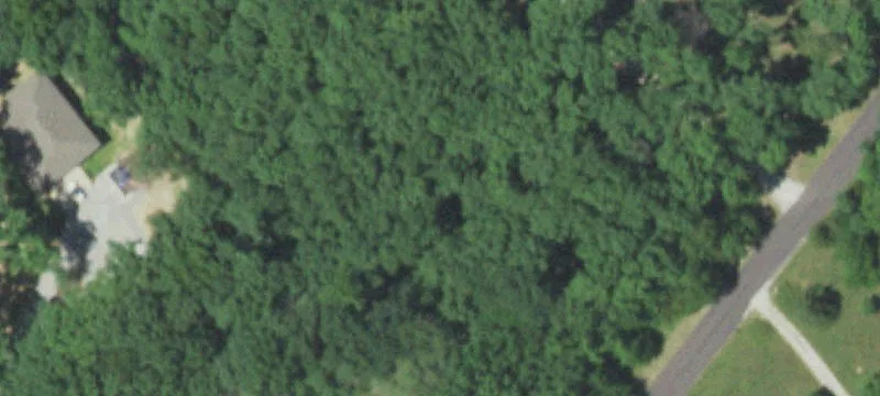Heavily Wooded Residential Building Lot