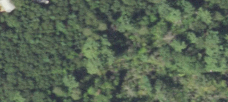 Wooded Waterfront Recreation Land