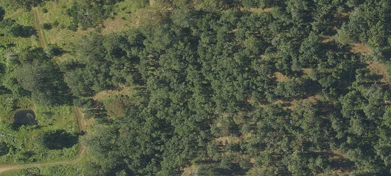 Residential Development Land