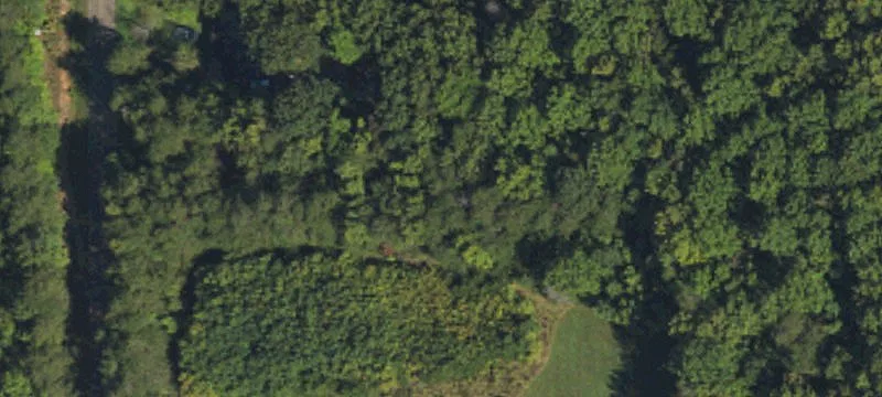 Heavily Wooded Residential Building Lot