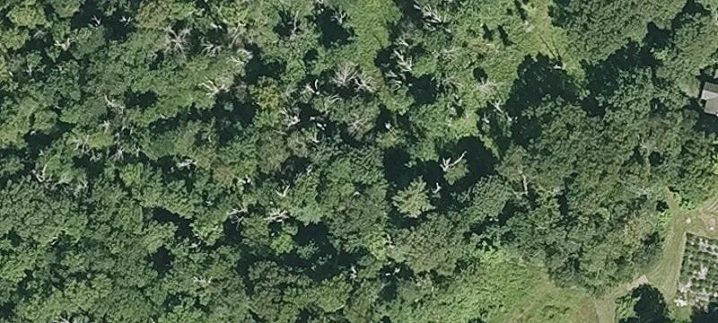 Industrial Land Parcel