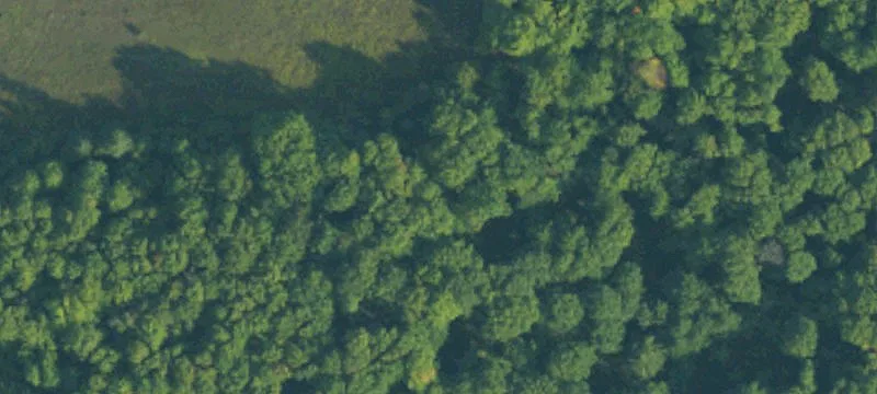 Turnkey Hunting and Recreational Land