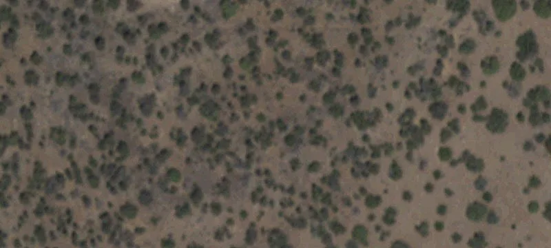 Contiguous Mountain Lots Near National Forest