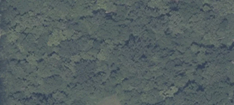 Wooded Residential Development Land