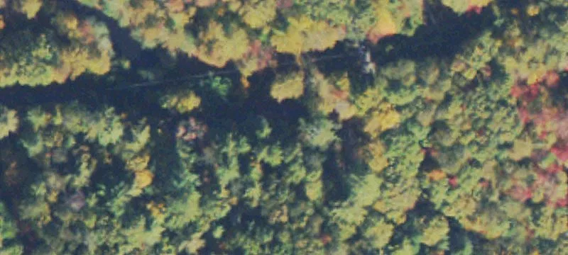 Wooded Residential Land Tract
