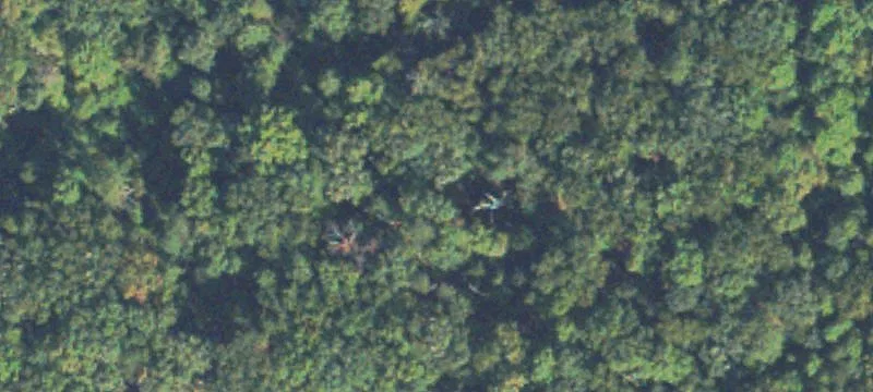 Wooded Homesite Acreage with Road Frontage