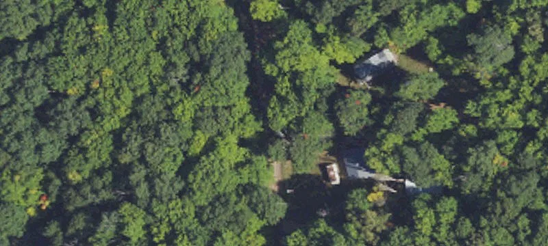 Private Timberland Acreage