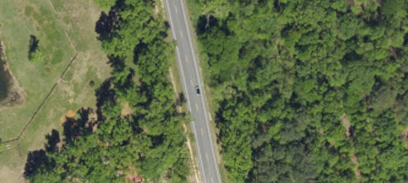 Secluded Wooded Recreation Land