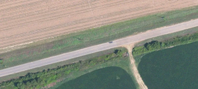 Timberland with Pond and Road Access