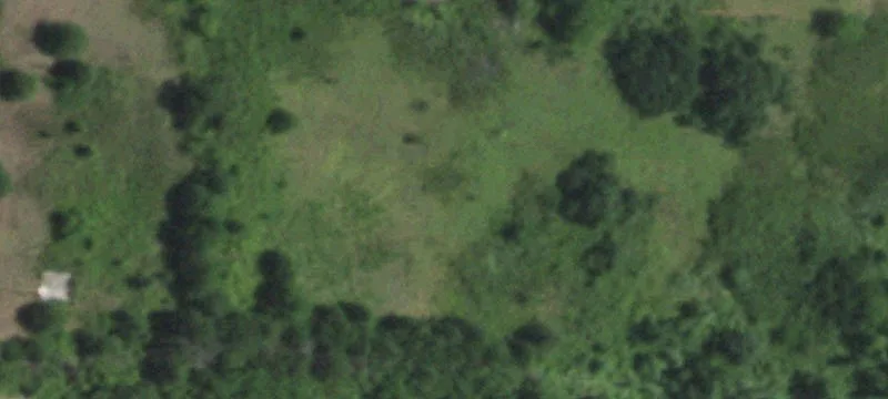 Cleared 5-Acre Residential Homesite