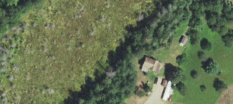 Wooded Buildable Land Parcel
