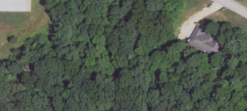 Wooded Custom Home Lot