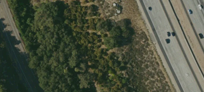 Irrigated Orchard Property