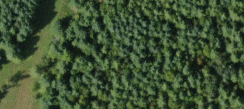 Recreational Hunting Land Parcel